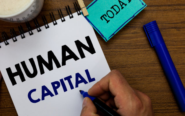 What is Human Capital Management (HCM) Software?
