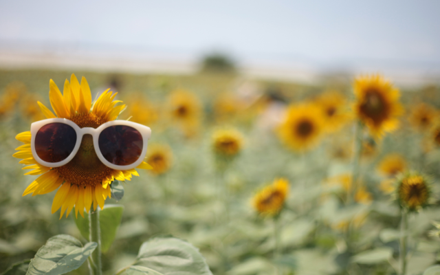 Managing Summer PTO Requests Without Understaffing Your Team