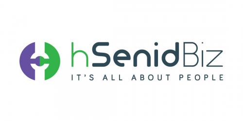 hSenidbiz logo